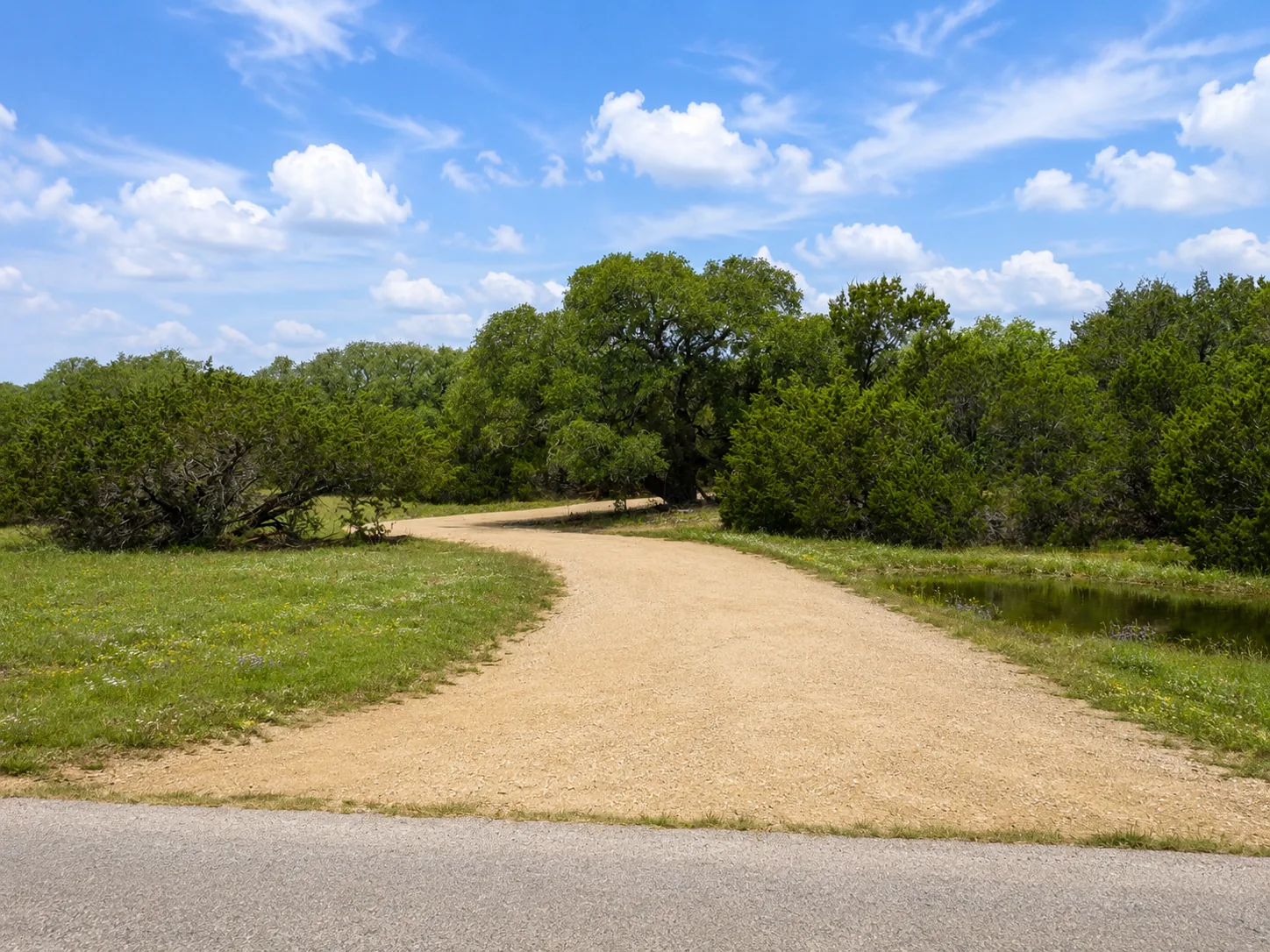 Tract 1 — Open Horse Pasture