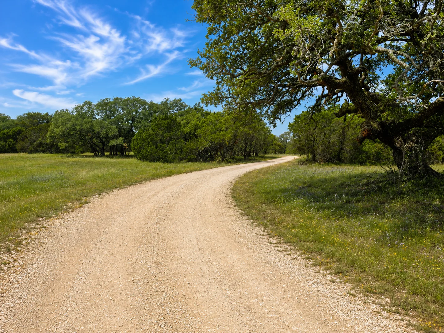 Tract 2 — Open Pasture Homesite