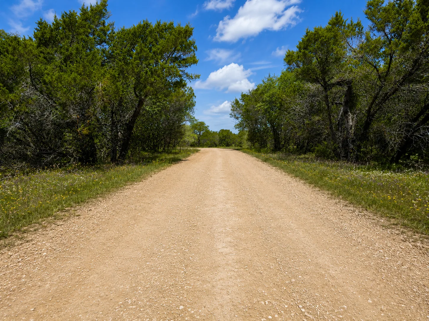 Tract 2 — Open Pasture Homesite