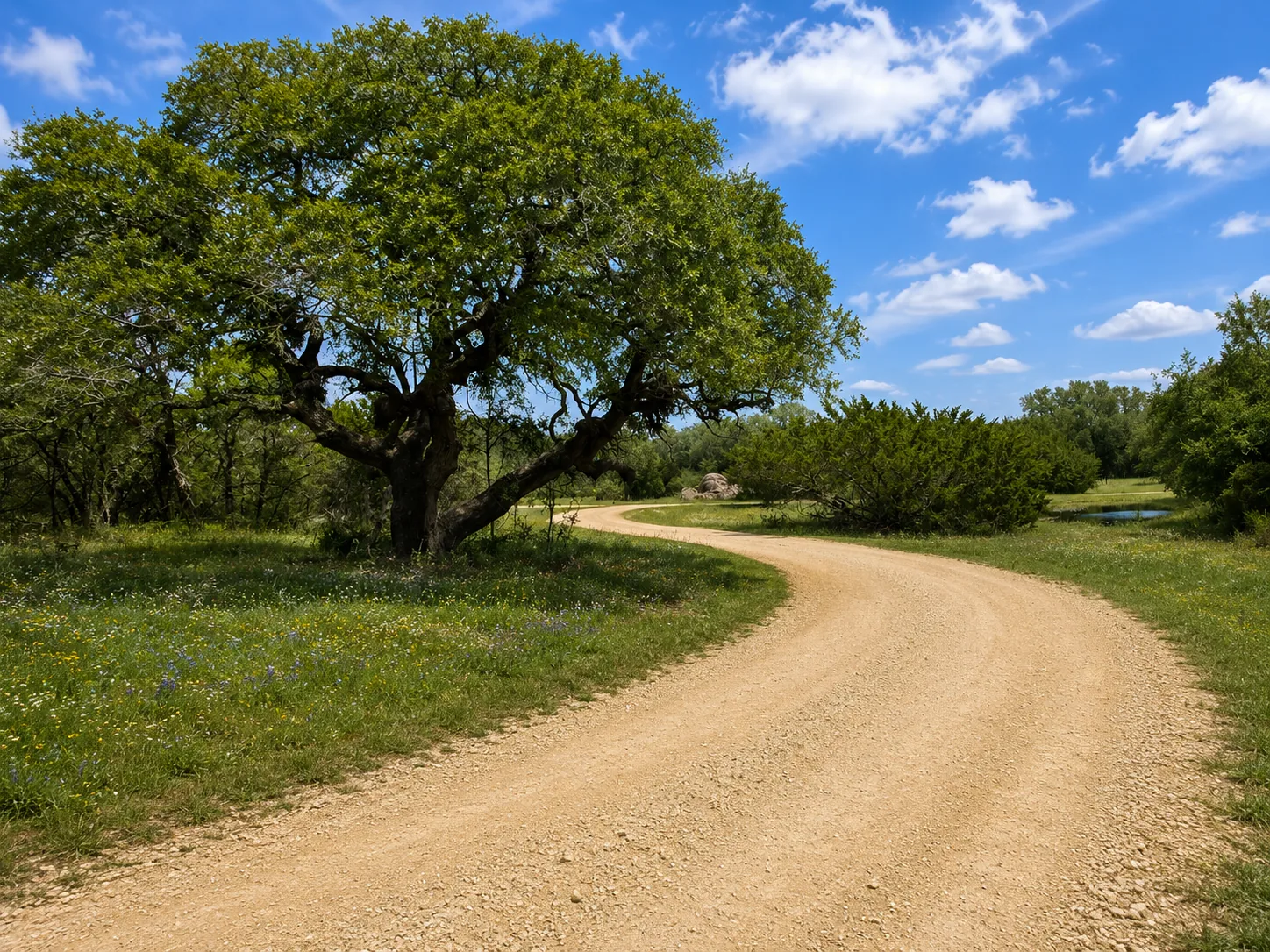 Tract 2 — Open Pasture Homesite