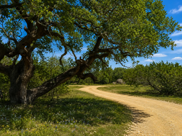 Tract 3 — Oak-Covered Homesite