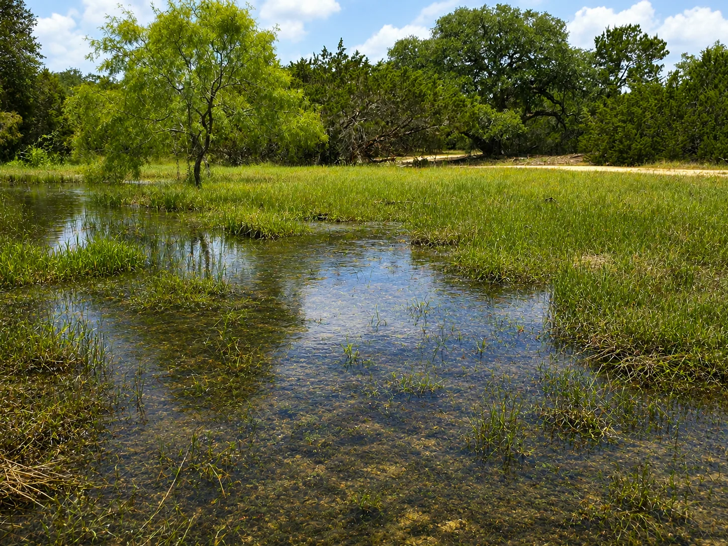 Tract 3 — Oak-Covered Homesite