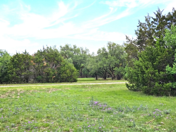 Tract 4 — Meadow and Oak Mix