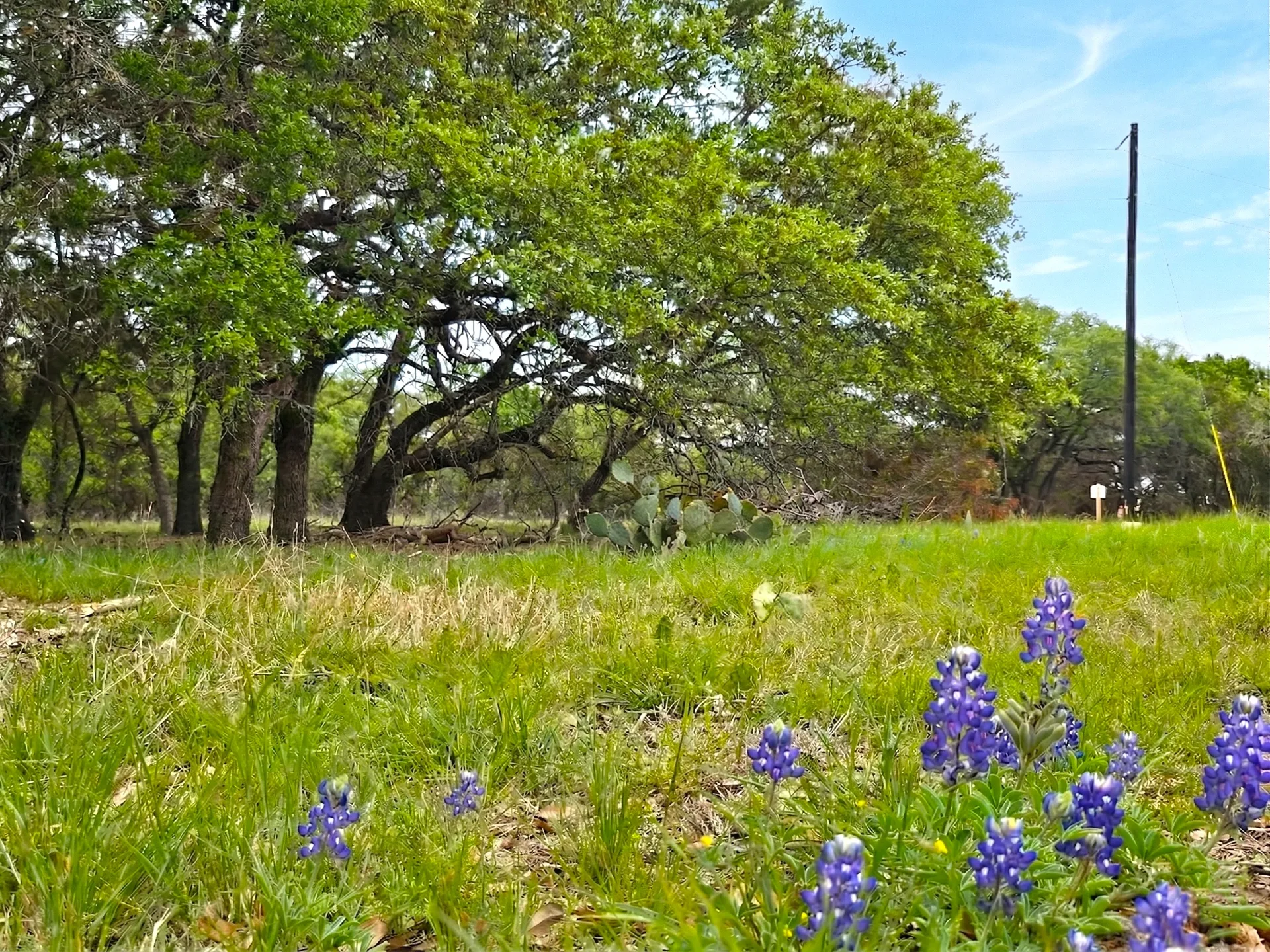 Valley Crest Ranch