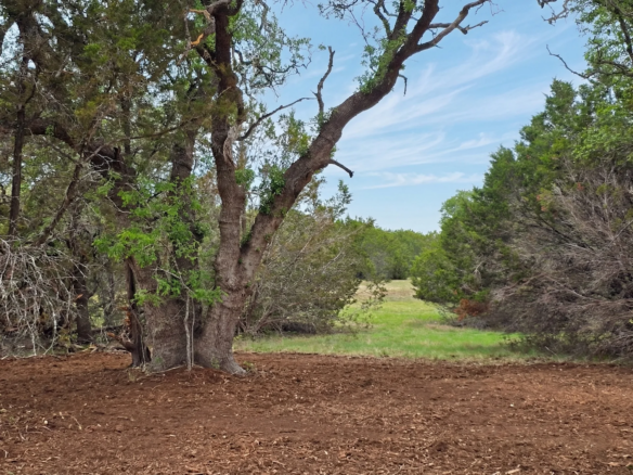 Tract 5 — Elevated Valley Views