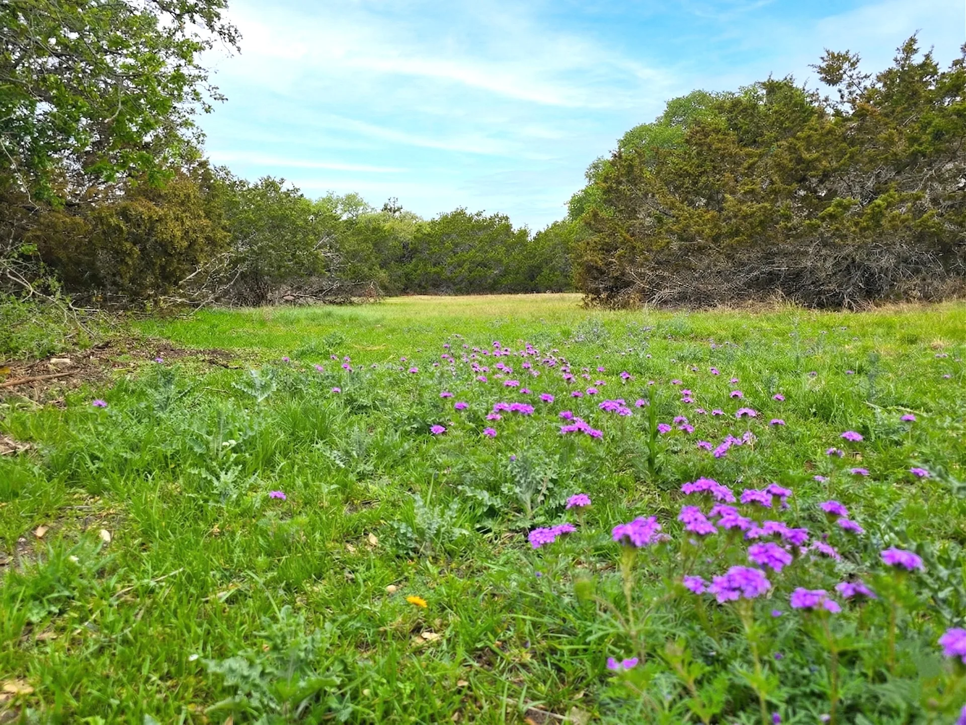 Valley Crest Ranch