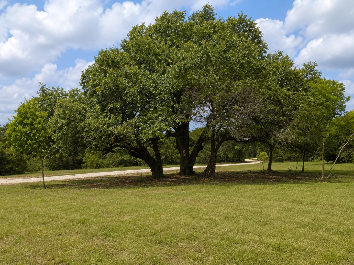 Tract 10 — Elevated Valley Views