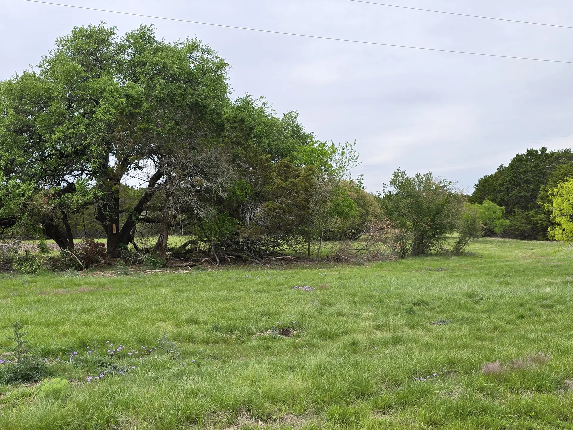 Tract 11 — Elevated Valley Views