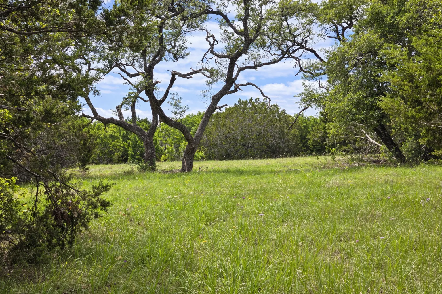 Tract 11 — Elevated Valley Views