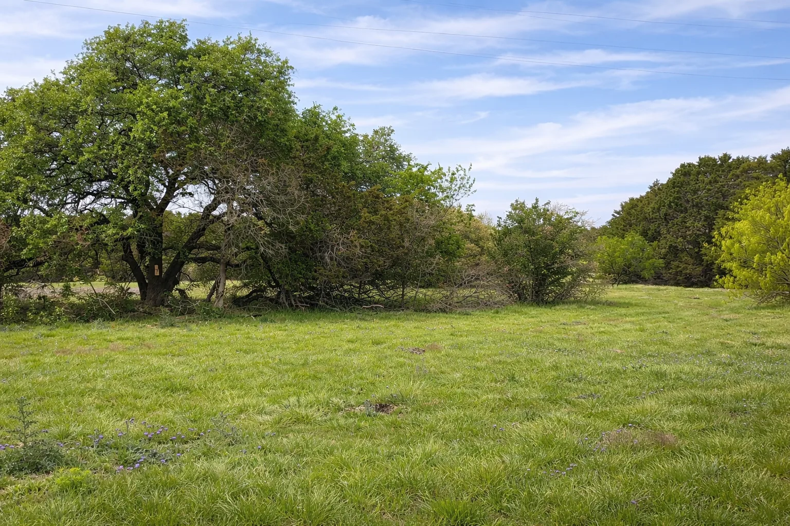 Tract 12 — Sulphur Creek Frontage