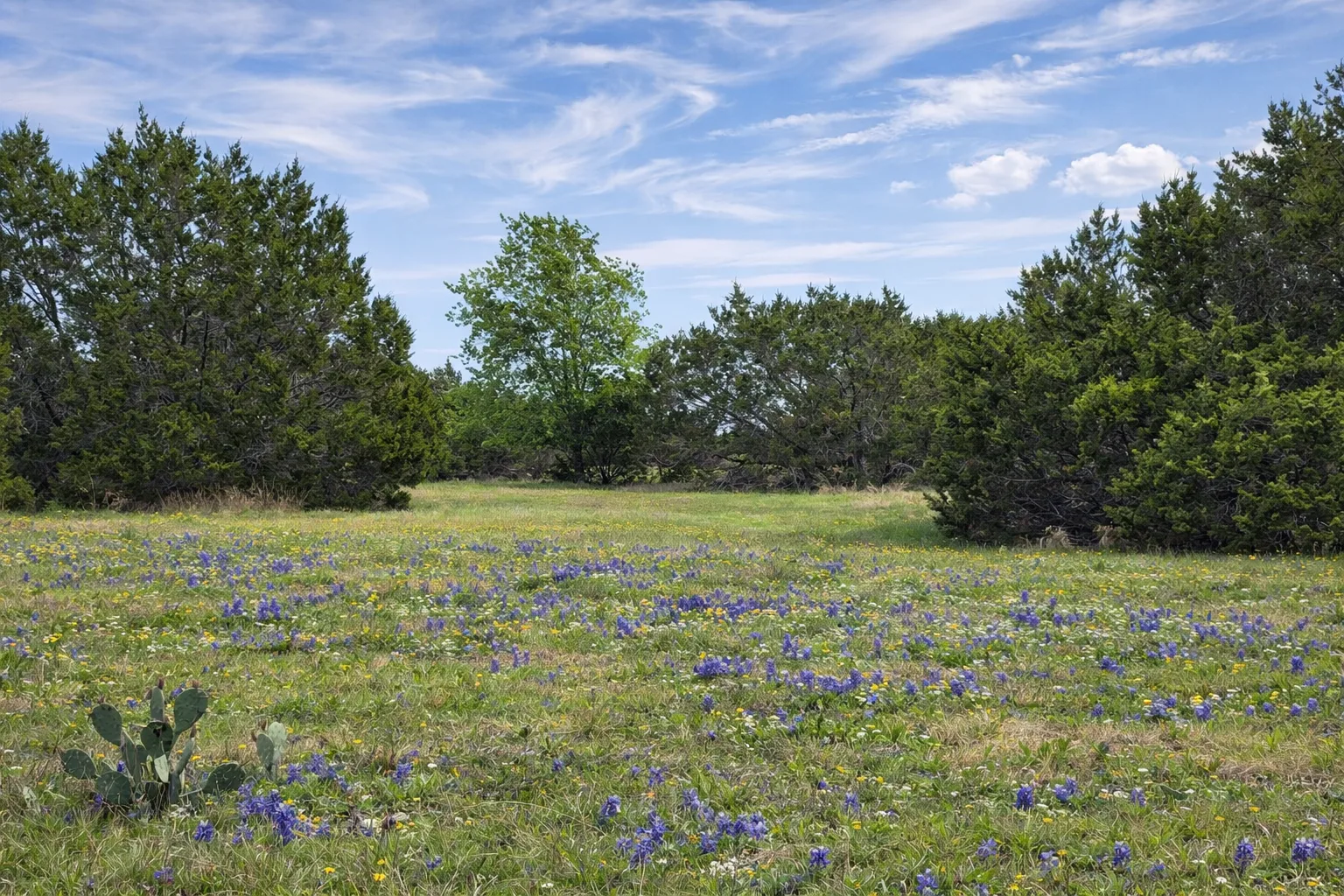 Tract 13 — Sulphur Creek Frontage
